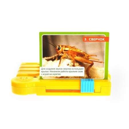 The training interactive set “We know the world”, plastic prefix, music cards, 14 pcs.-8