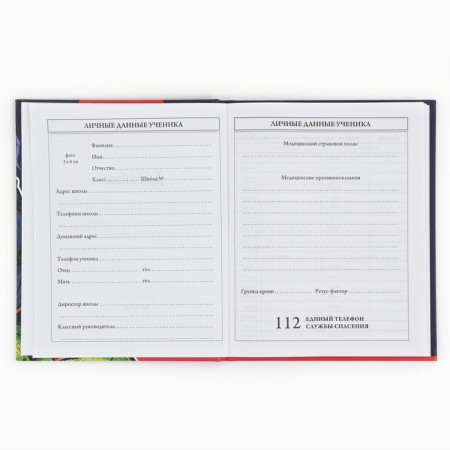 School Diary 1-4 class, in a solid cover, 48 liters "September 1: dinosaur"-4