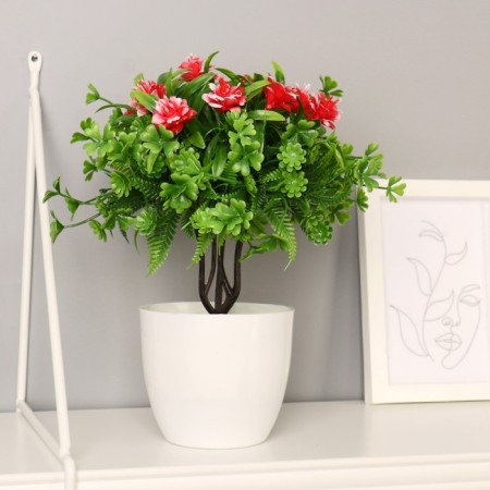 Bonsai "Jasminovid Madren" 9x21 cm, mix