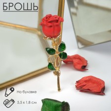Brooch 