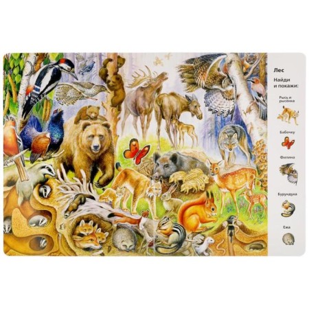 “Find and show. Animals ", Wimmelbukh-1