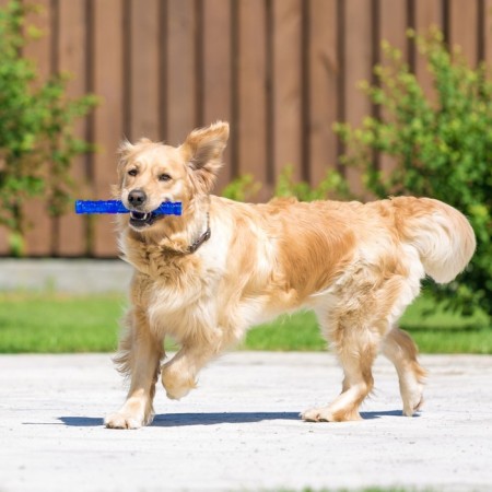 Toy training chewing "stick" hollow, 24.5 cm, blue-4