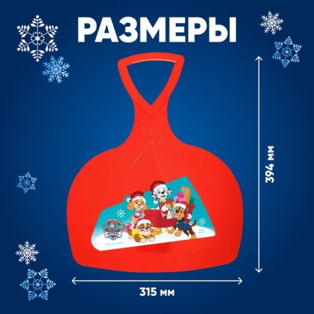 Ice PaW Patrol-1