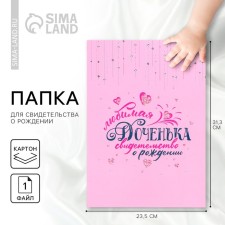 Folder for birth certificate 