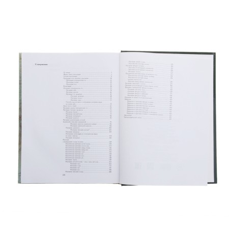 Fundamentals of educational academic drawing. Lee N.G.-3