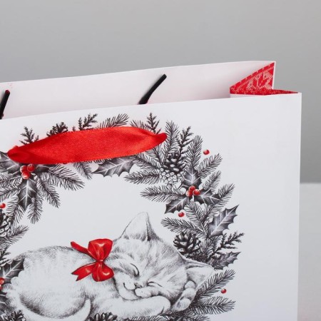 Laminated horizontal package "New Year's kitten", MS 23 x 18 x 8 cm, New Year-2