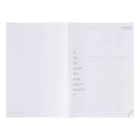 Leduced A5 Diary, 160 sheets, Devente.Gold Rush, firm artificial leather cover with foam rubber, silver slice, Bullpan of 70 g/m2, silver-3