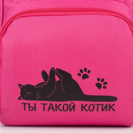 School textile Backpack "You are such a cat", with a pocket, 25x13x38, pink-5
