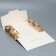 Box a gift folding envelope, packaging, "Gentleman", 31 x 22 x 5 cm