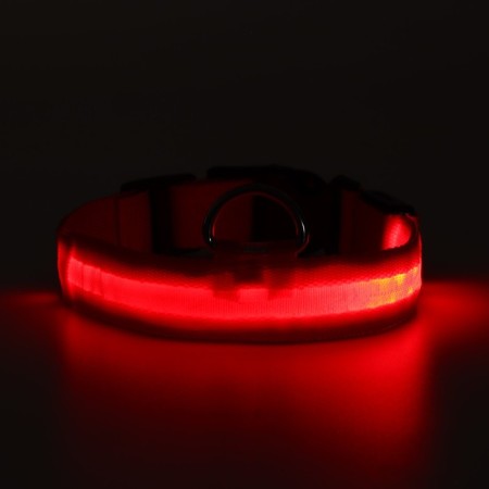 Collar with backlight size m, Osh 40-48 x 2.5 cm, 3 glow modes red-10