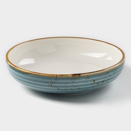 Porcelain deep Magistro "Cerera", 700 ml, d = 18.5 cm, blue color