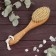 Dry massage brush, natural bristles, 79 bundles
