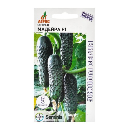 Cucumber seeds "Madeira" F1 5pcs* Economy