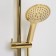 The shower system wasserkraft a171.263.207.pg, tropical shower, shower, gold