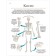 Modern encyclopedia. The human body