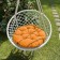 Billy swing pillow, diameter 60 cm