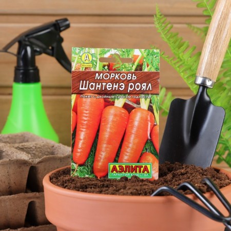 Seed Carrots "Chantene Royal" "Leader", 2 g,-3
