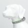 Collar with backlight leopard 3 glow modes, size L, Osh 48-60 x 2.5 cm green