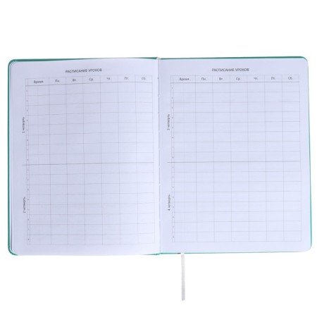 Universal diary for grade 1-11 Kitties, hard cover, artificial leather, silk-screen printing, Lyasse, 80 g/m2-4