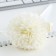 Handle joke Blood Blue Paste 1.0 mm “most tender” chrysanthemum with ribbons
