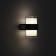 Facade lamp “Double Grand”, FSD-076, 10 W, 4000K, IP65, 220 V, plastic, black