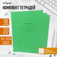 A set of notebooks of 20 pieces, 18 sheets in the Green Cover PDA line, offset block, whiteness 90-95%