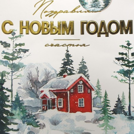 Laminated vertical package, congregation “Happy New Year”, Ml 23 x 27 x 11.5 cm, New Year-5