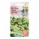 Flowers of Petunia "Izi Vave Hellou", F1, 5 pcs "