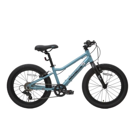 Bicycle 20 ’’ maxiscoo 5bike, Aquamarine color, size L