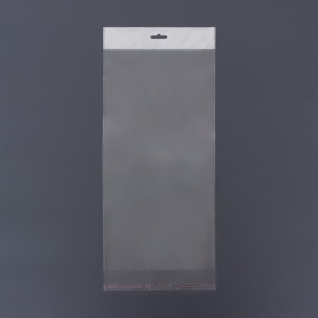 BOPP package with an adhesive valve, transparent 20 x 40/4 cm, euros, 30 μm-4