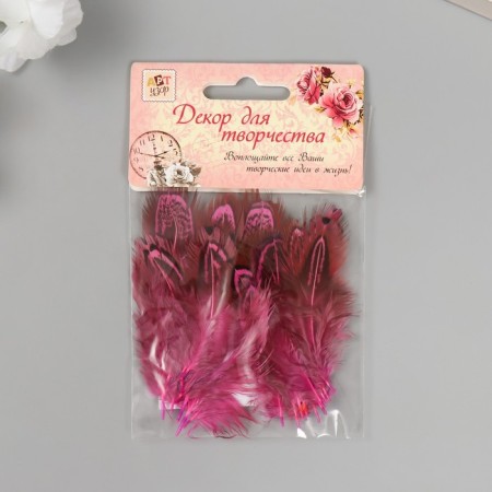 Decorative pheasant feather "Rice. Pink" set 20 pcs h = 5-7 cm-4