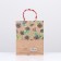 Package Gift craft "cones in the snow" 18 x 22.3 x 10 cm
