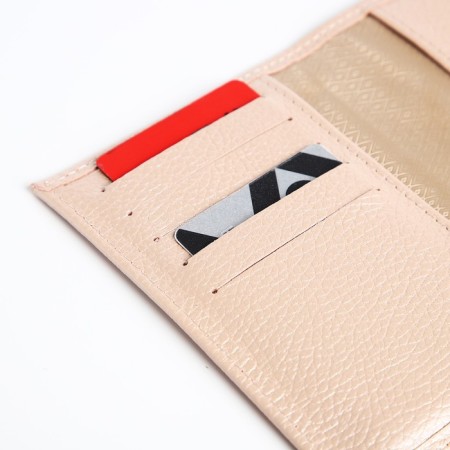 TEXTURA passport cover, powder color-4