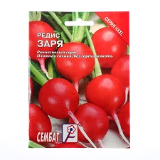 Seeds XXXL Radis 
