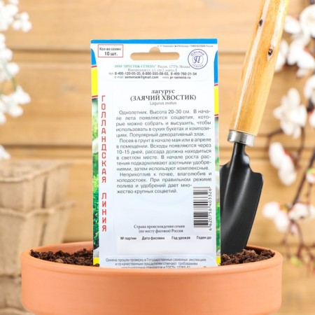 Flower seeds Lagurus (hare tail), o, 10 pcs-1