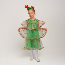 Carnival costume 