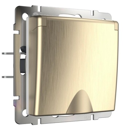 The socket is moisture. With ground. with defense. lid and curtains WL10-SKGSC-01-IP44, champagne color-1
