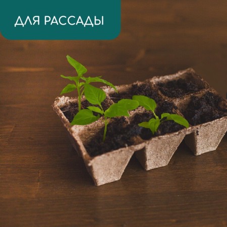 Peat cassette, 6 cells of 400 ml, 9 × 9 cm-3