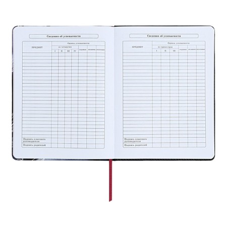 Diary 1-11 Grade "Magnolia", artificial leather, with lisasa, 48 sheets-8
