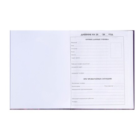 Diary for grades 1-4, "butterflies. Neon", solid cover 7BC, glossy lamination, 48 sheets-3