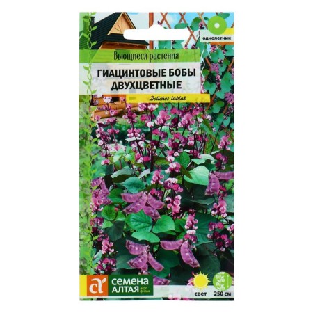 Flower seeds hyacinth beans "two -color", O, CP, 1 g-2