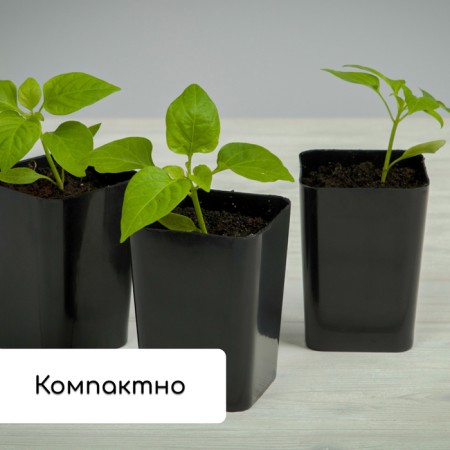 Set for seedlings: glasses of 300 ml (12 pcs.), Patron 43 × 18 cm, mix, Greengo-7