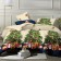 Bed linen 1.5p, size 145x215, 150x215, 70x70 2pcs calico 120g 100% cotton