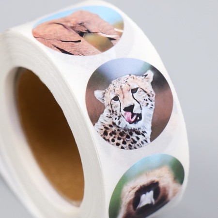 Stick Paper "Wild Beasts" d = 2.5 cm 500 pcs in a roll 3x6.5x6.5 cm-3