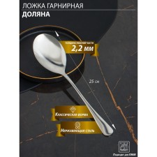 A garnet spoon made of stainless steel of a share, h = 25 cm, thickness 2.2 mm, 410 steel
