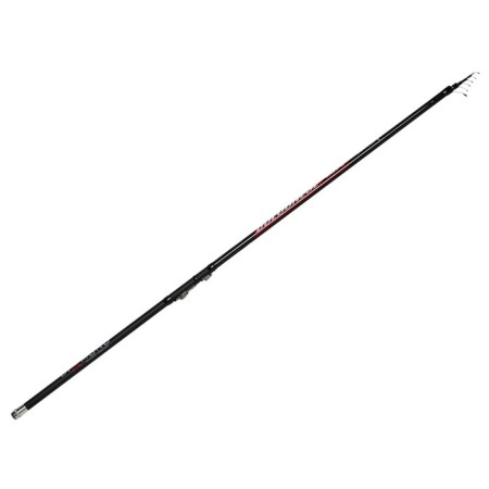 Salmo Diamond Bolognes Medium MF, test 5-20 g, length 4 m.