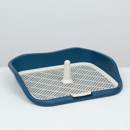 Dog toilet, 55 x 46 x 12 cm, blue-1