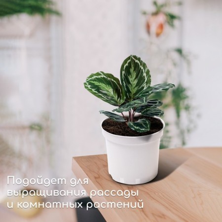 Pot for seedlings, 3 l, d = 19 cm, h = 15 cm, white, greengo-2