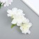 Flowers for decoration "hydrangea" white 10x10 cm