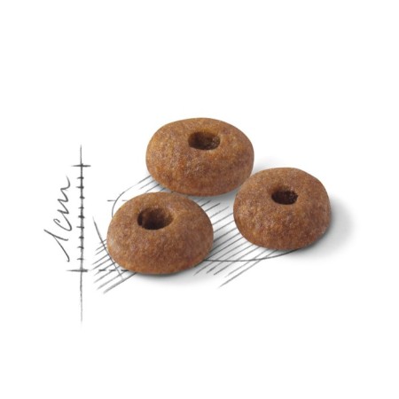 Dry feed RC FIT for cats with moderate activity, 2 kg-3